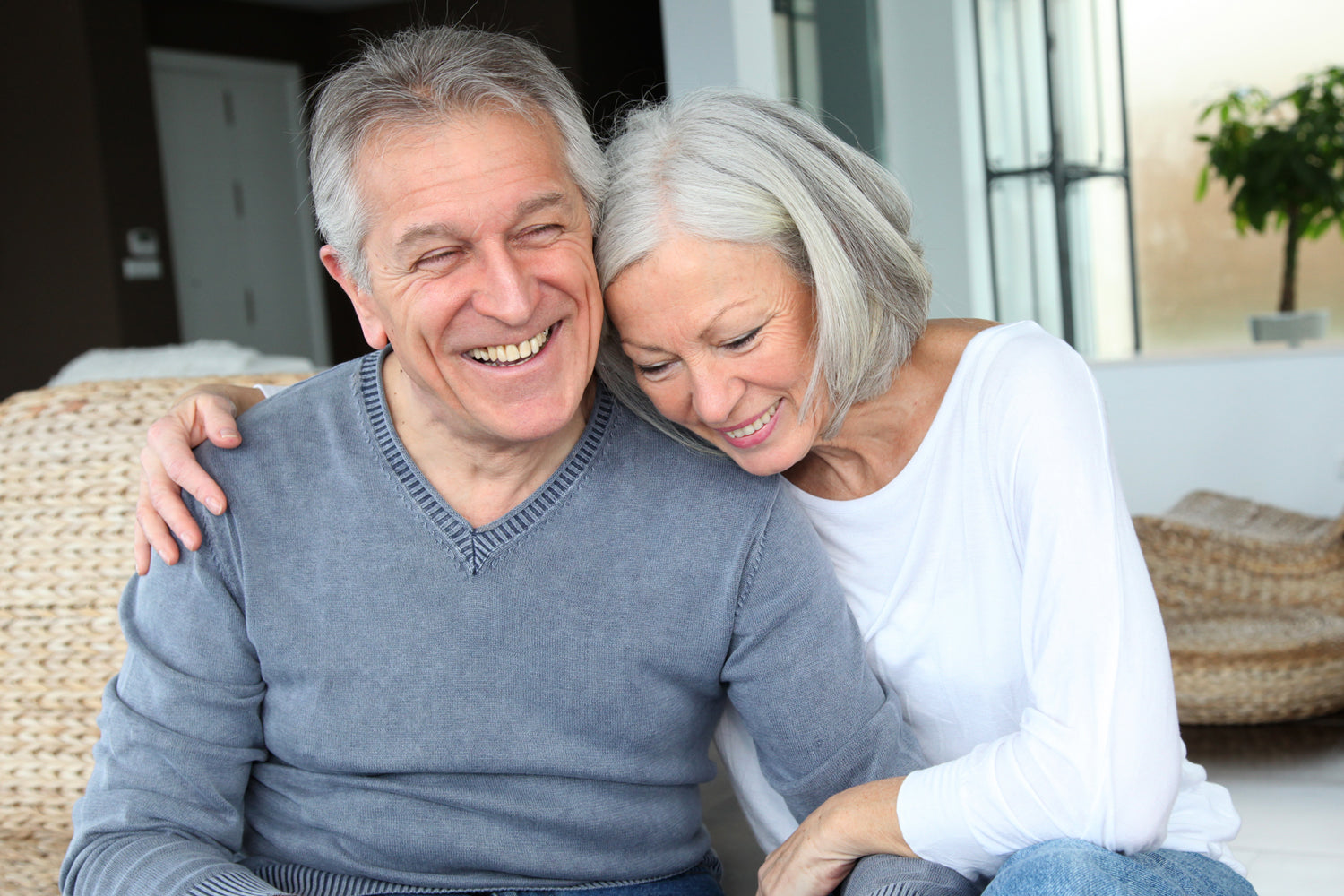 Dental Implant Open Day 15th November